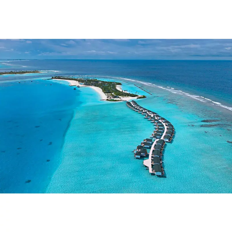 Joy Island